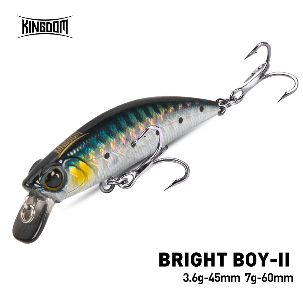 Fishing Lure Crankbait - Przynęta wędkarska Kingdom Sinking Minnow 45mm